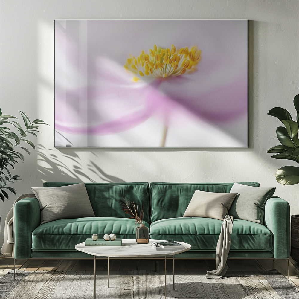 *Anemone* | Leinwand