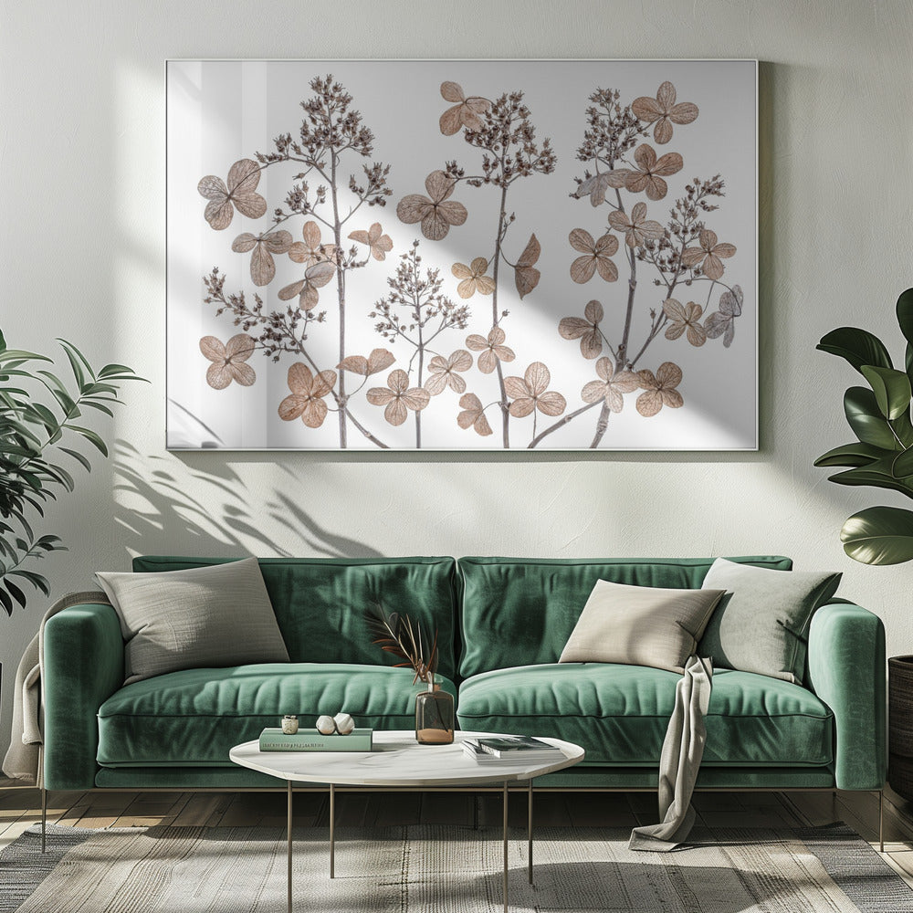 Rispenhortensie | Leinwand