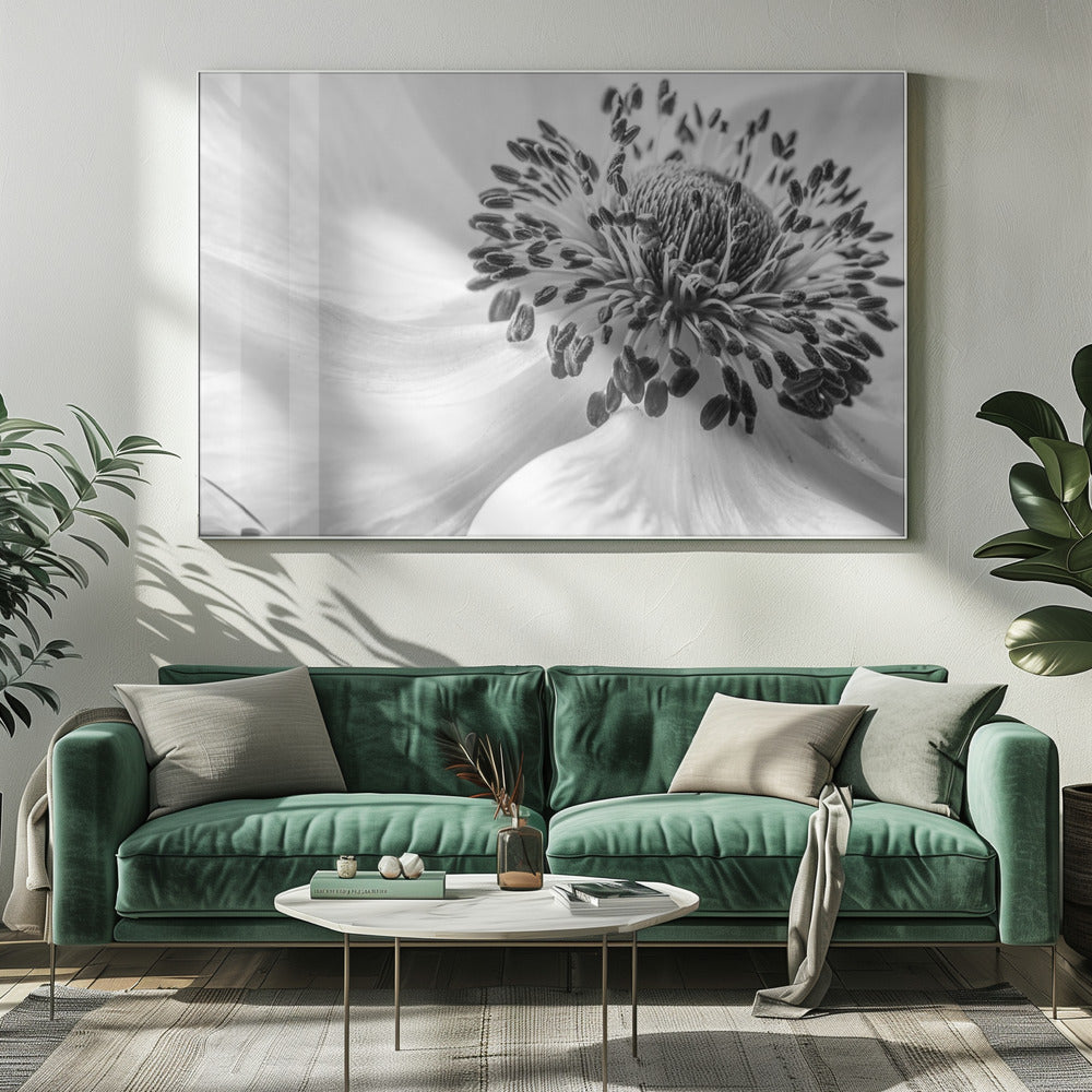 Anemone | Leinwand