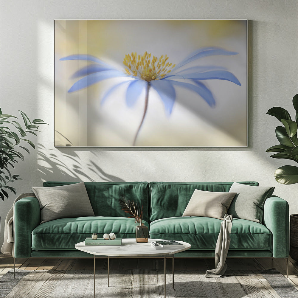 Anemone | Leinwand
