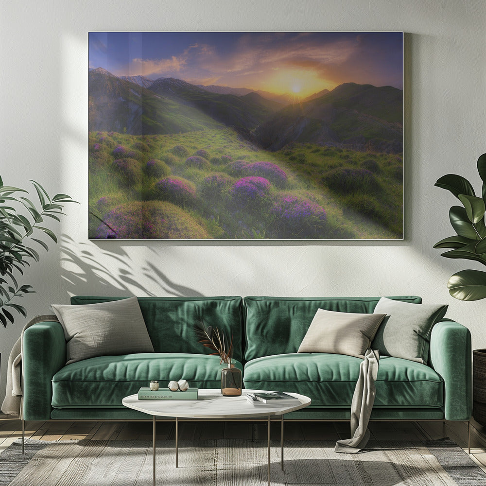 Frühling in Show | Leinwand
