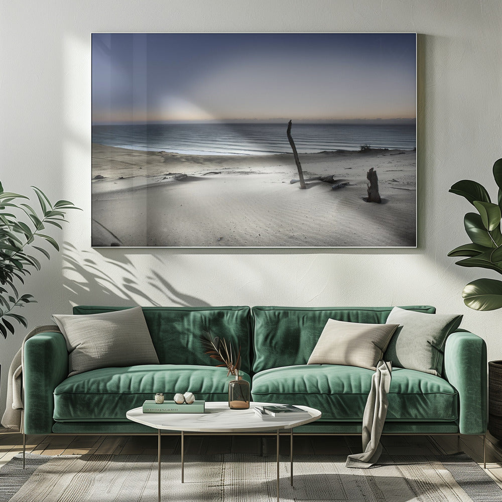 Greif nach der Sonne | Leinwand