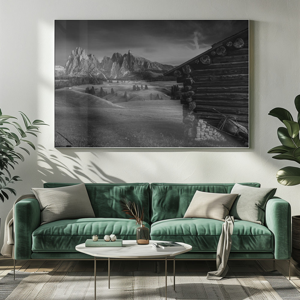 Untitled | Canvas