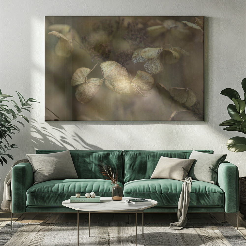 Winter is coming | Canvas