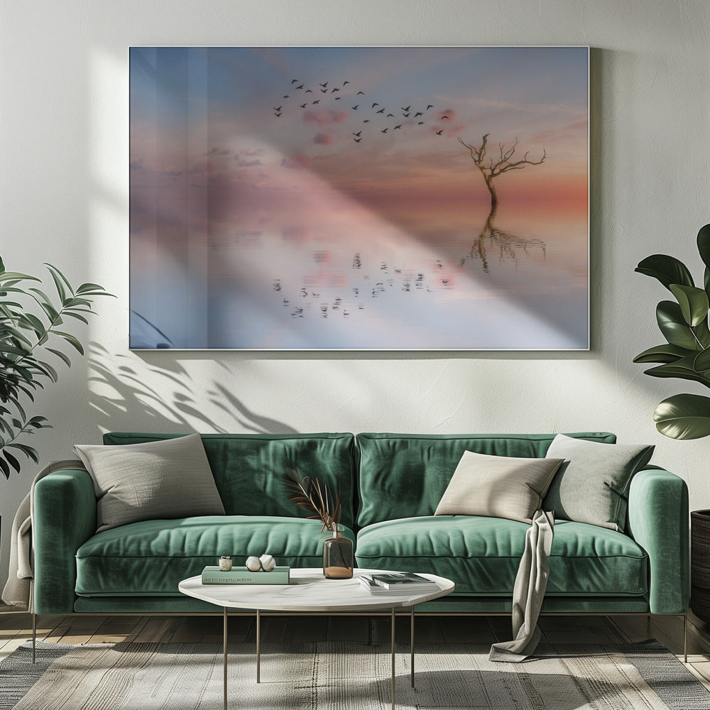 S.T. 006 | Canvas