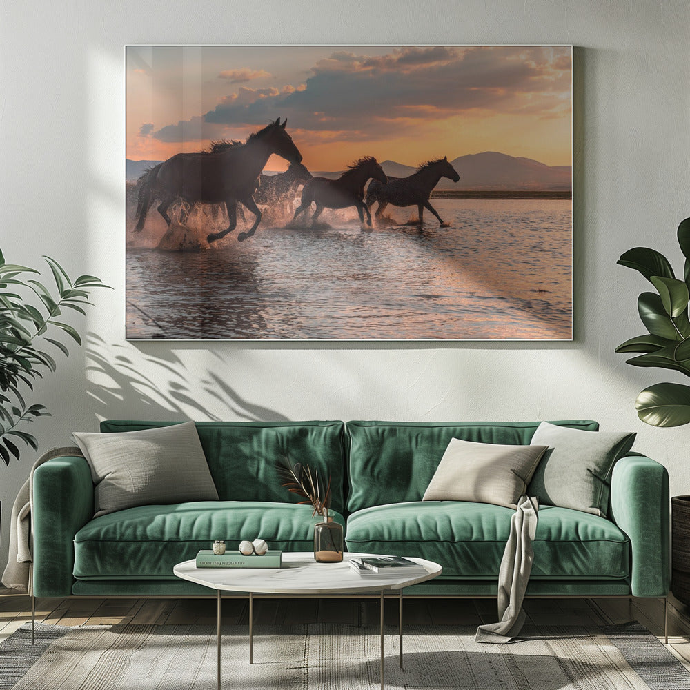 WASSERPFERDE | Leinwand