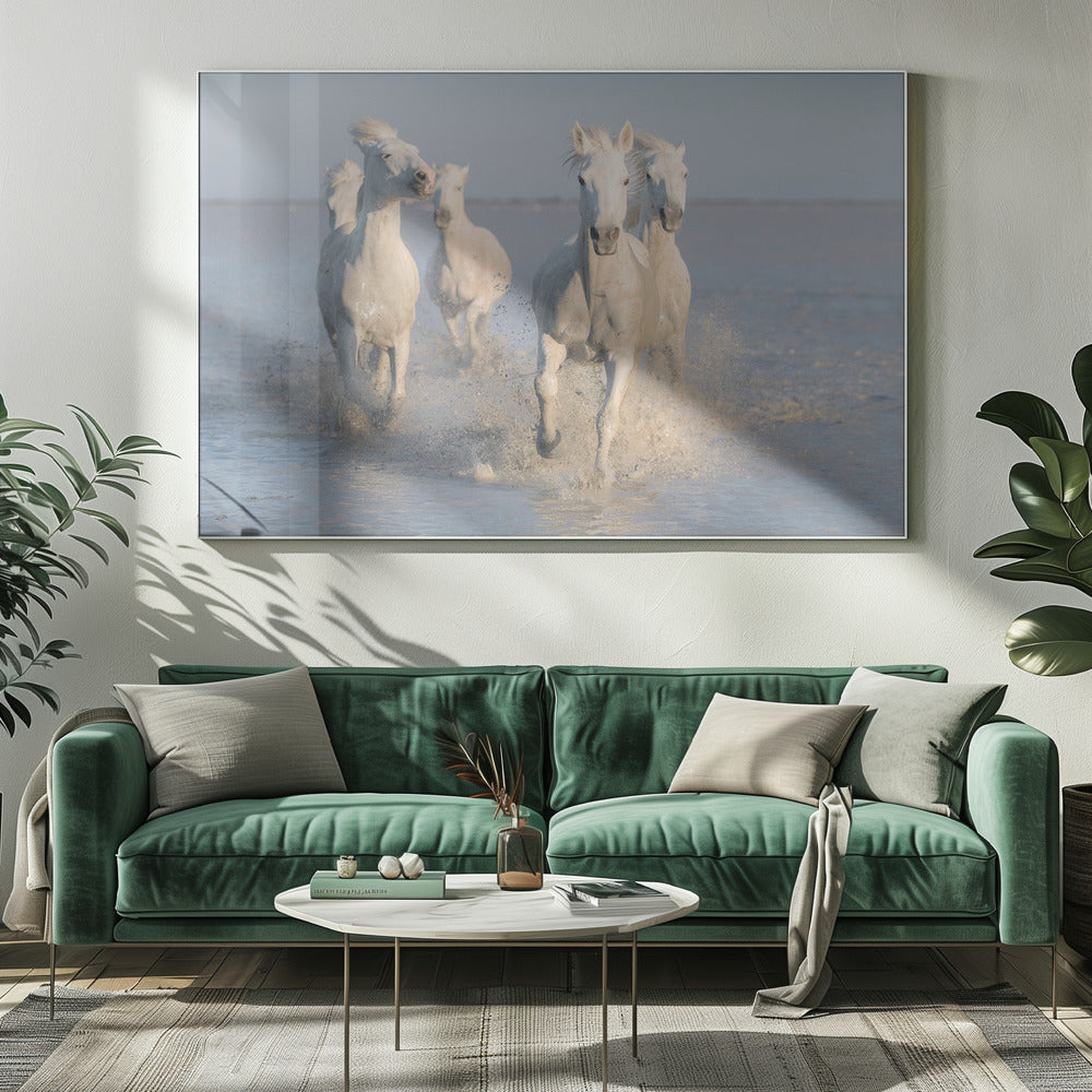 Pferde | Leinwand