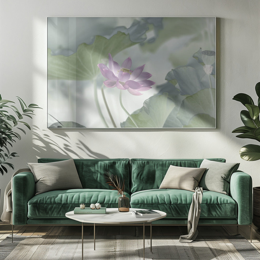 Lotus | Leinwand