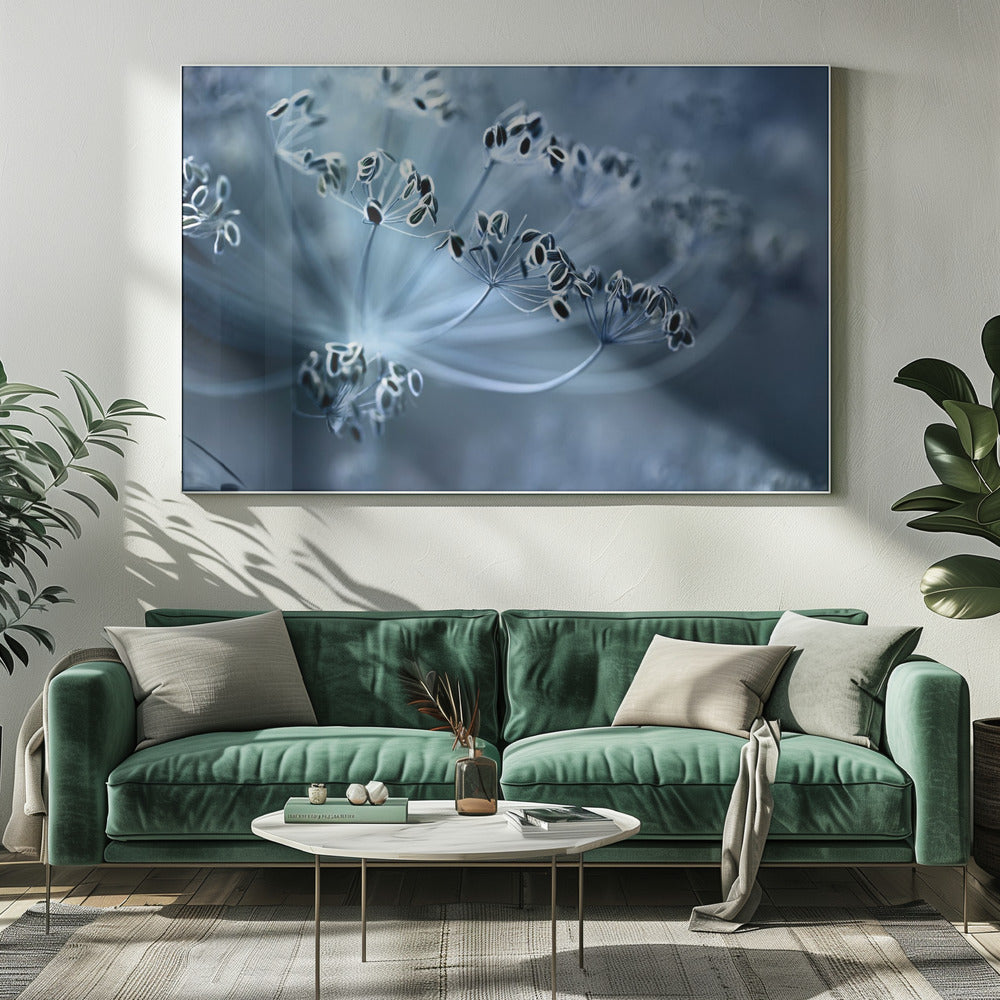 Dill | Canvas