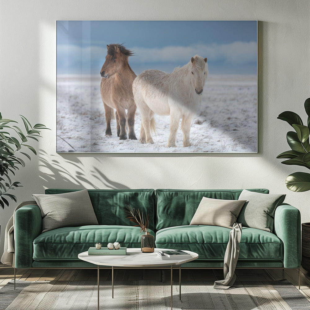 BRÜDER | Leinwand