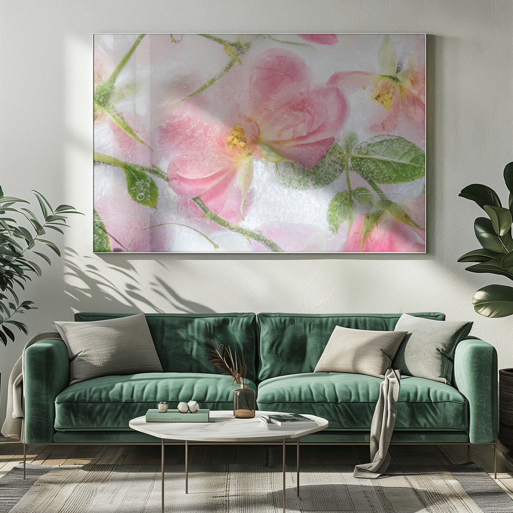 Rosa | Canvas