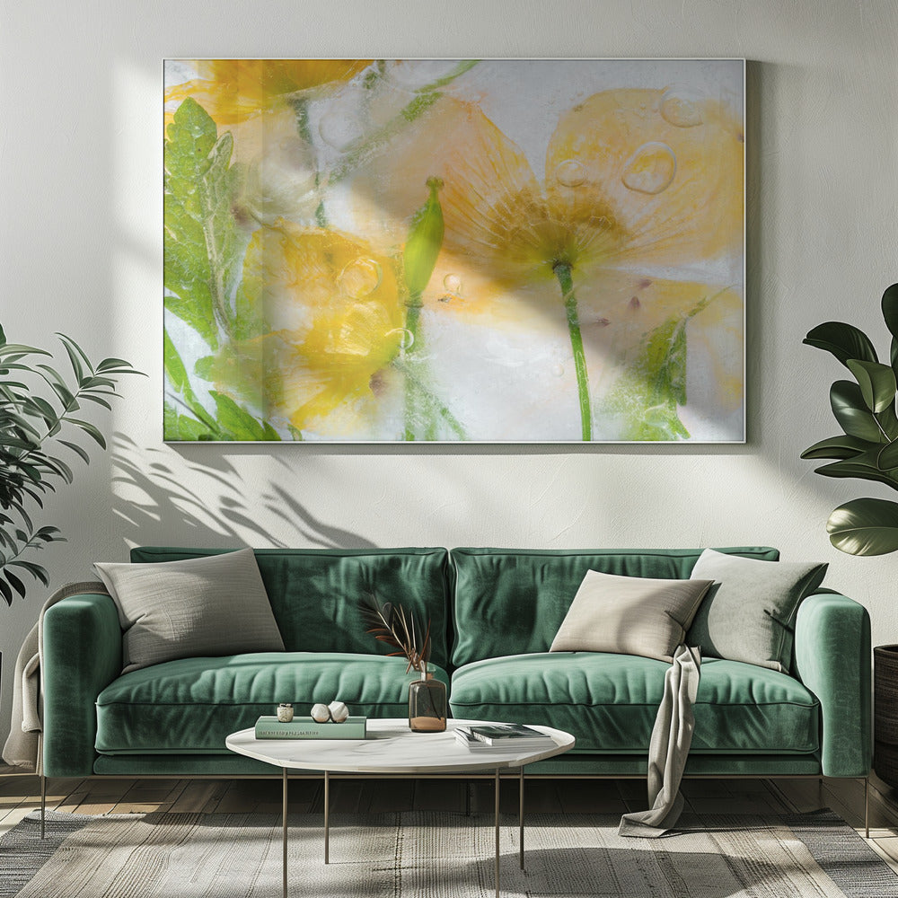 Meconopsis | Leinwand