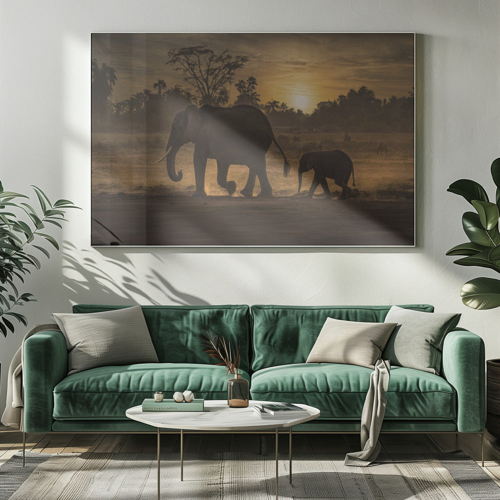 Follow me | Canvas