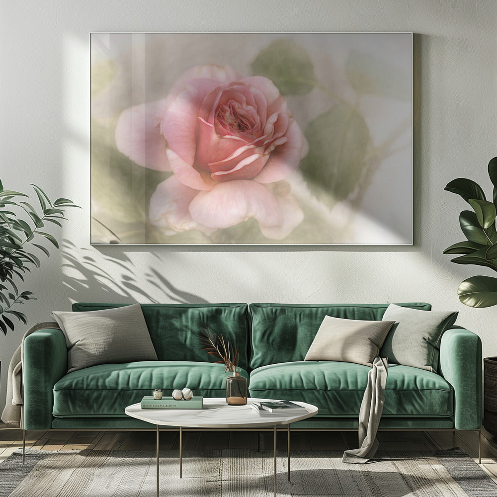 glatte Rose | Leinwand