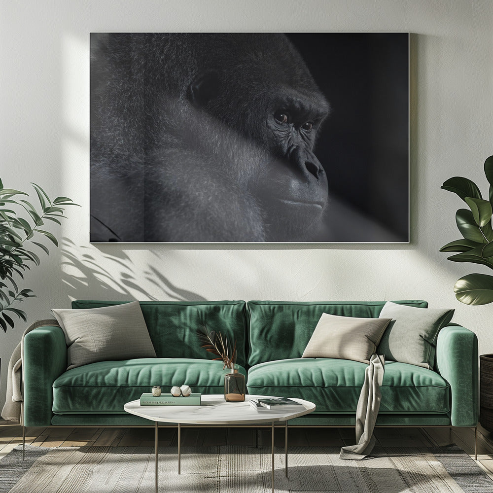 Gorillablick | Leinwand