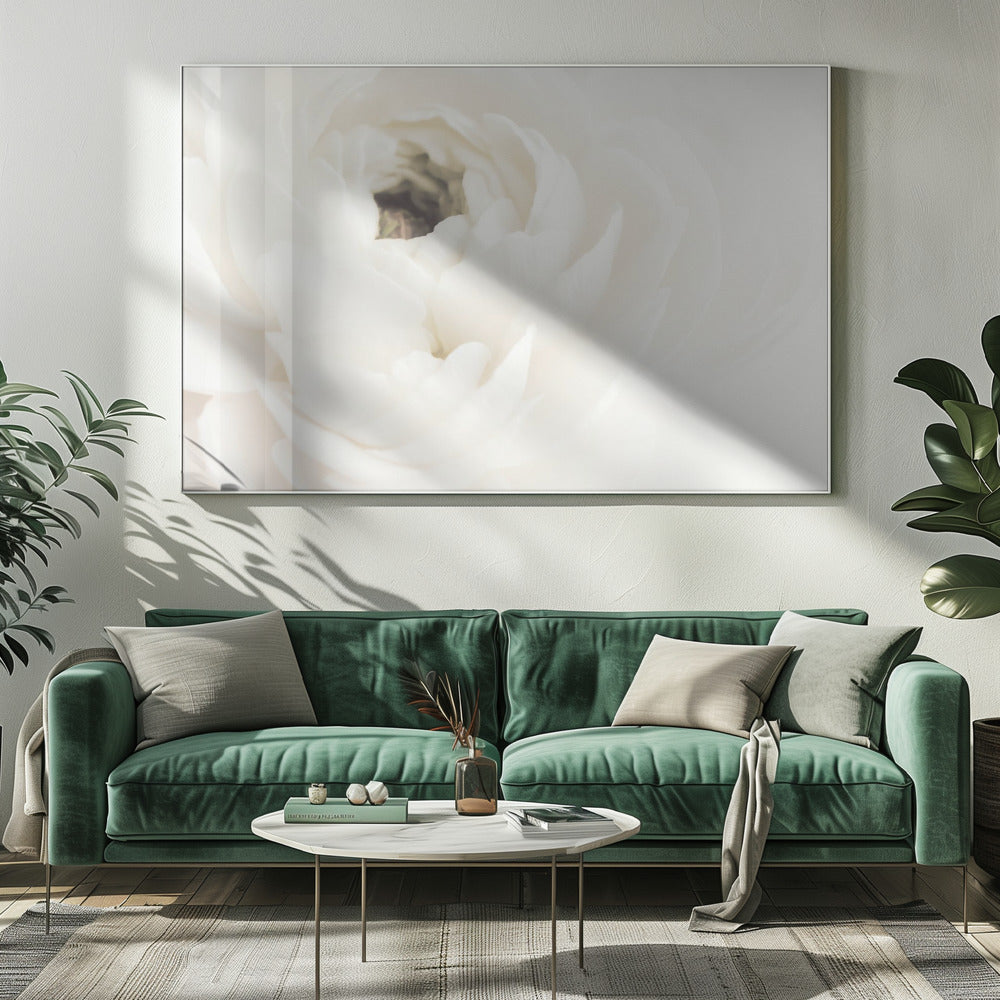Weiße Blume 02 | Leinwand