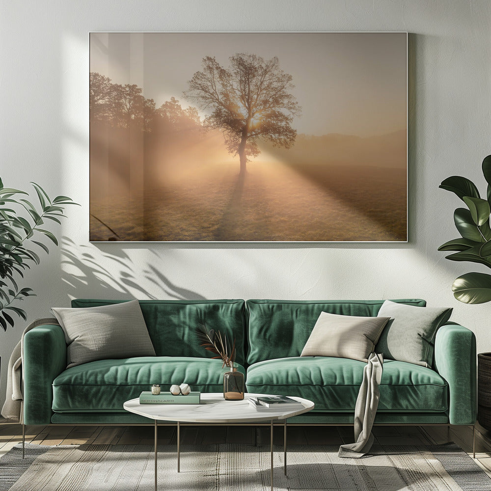 Einsamer Baum | Leinwand