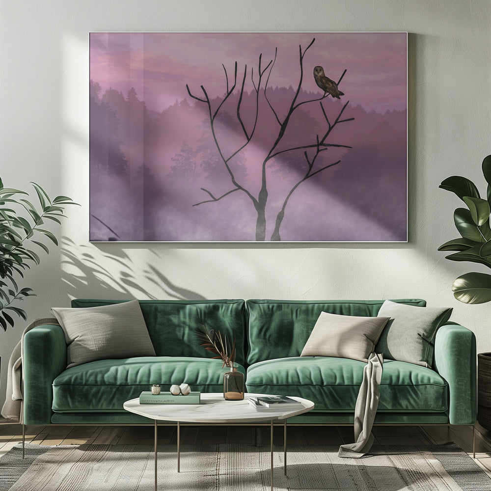 Rosa Himmel am Morgen | Leinwand