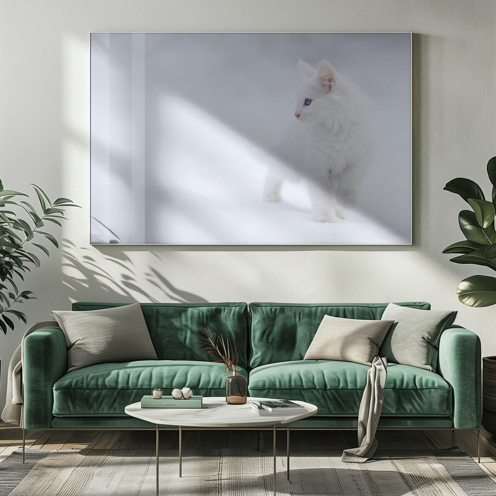 Weiß wie Schnee | Leinwand
