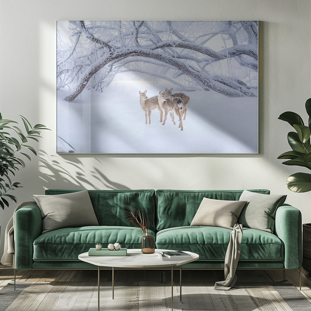 Hirschspaziergang im Schnee | Leinwand