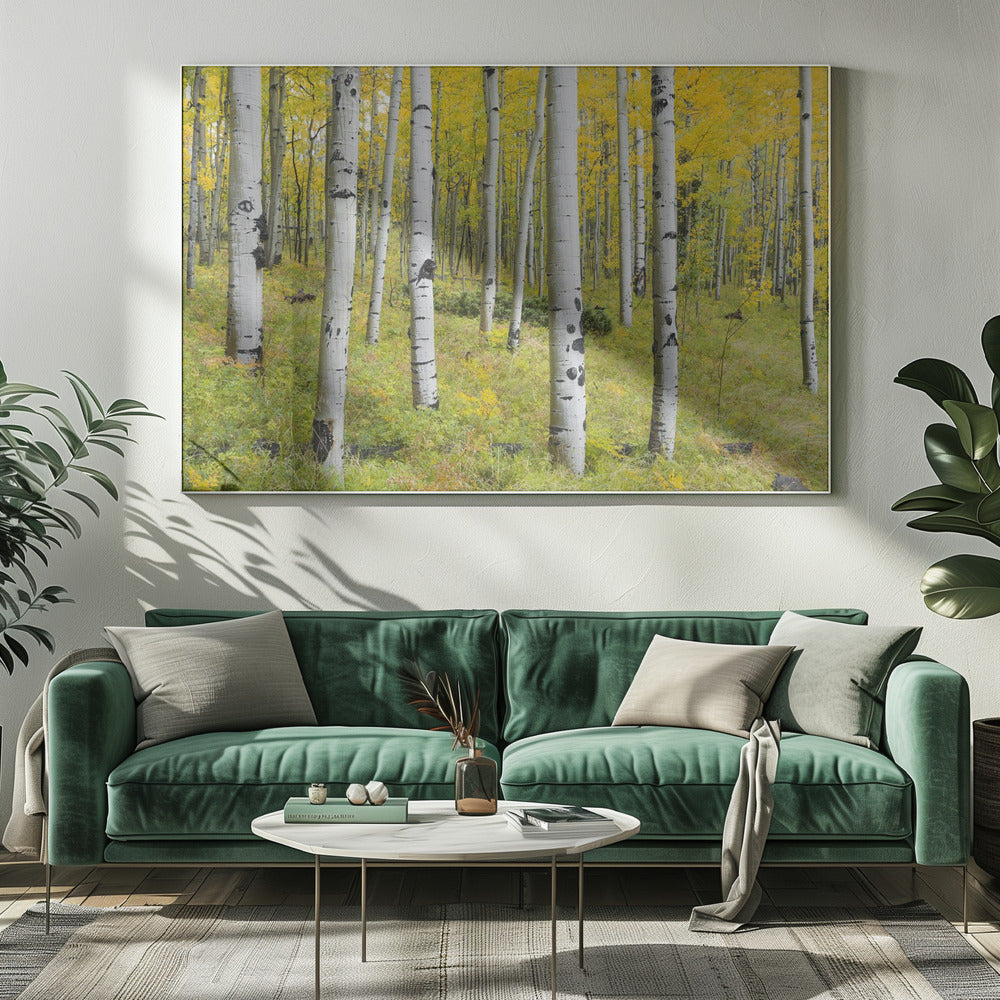 Gelbe Birken | Leinwand