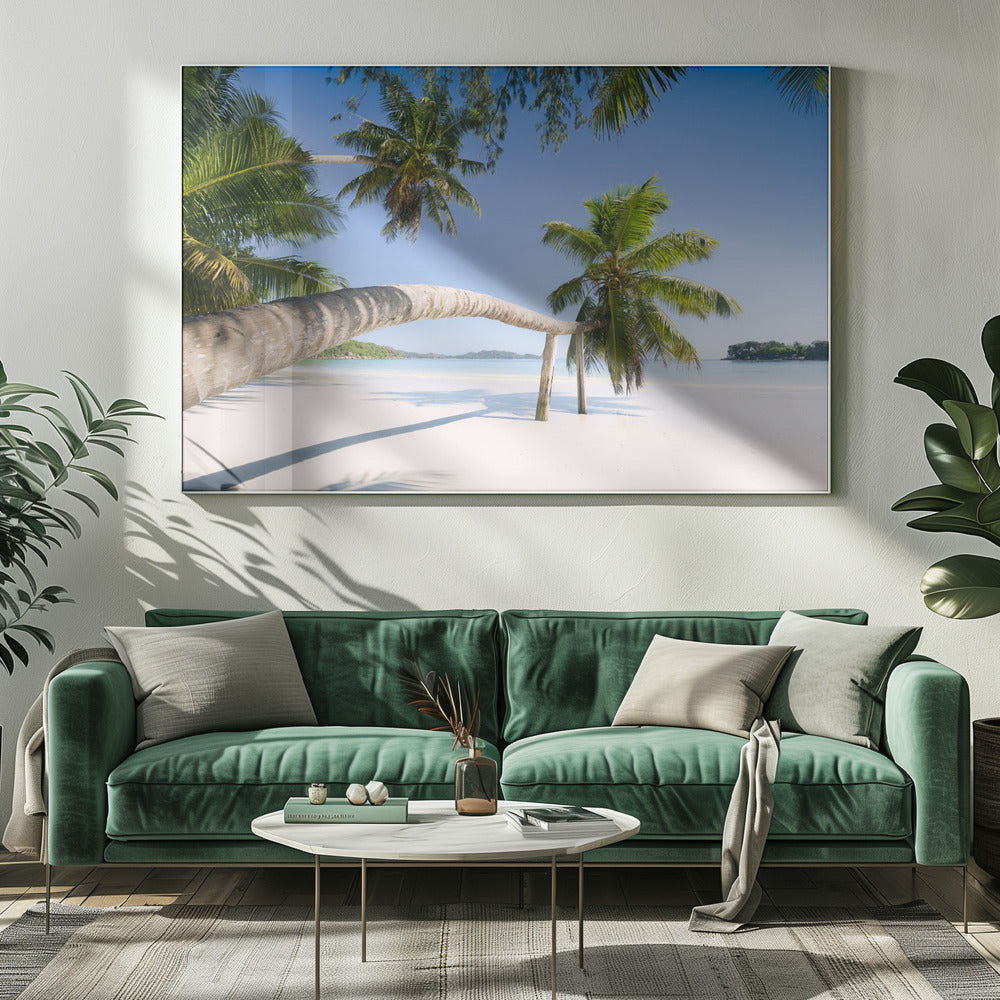 Tropische Palme | Leinwand