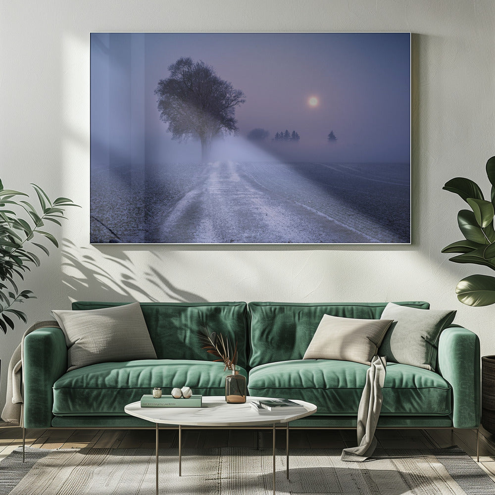 Mondbeleuchteter Pfad | Leinwand
