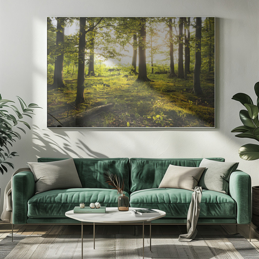 Sommer im Wald | Leinwand