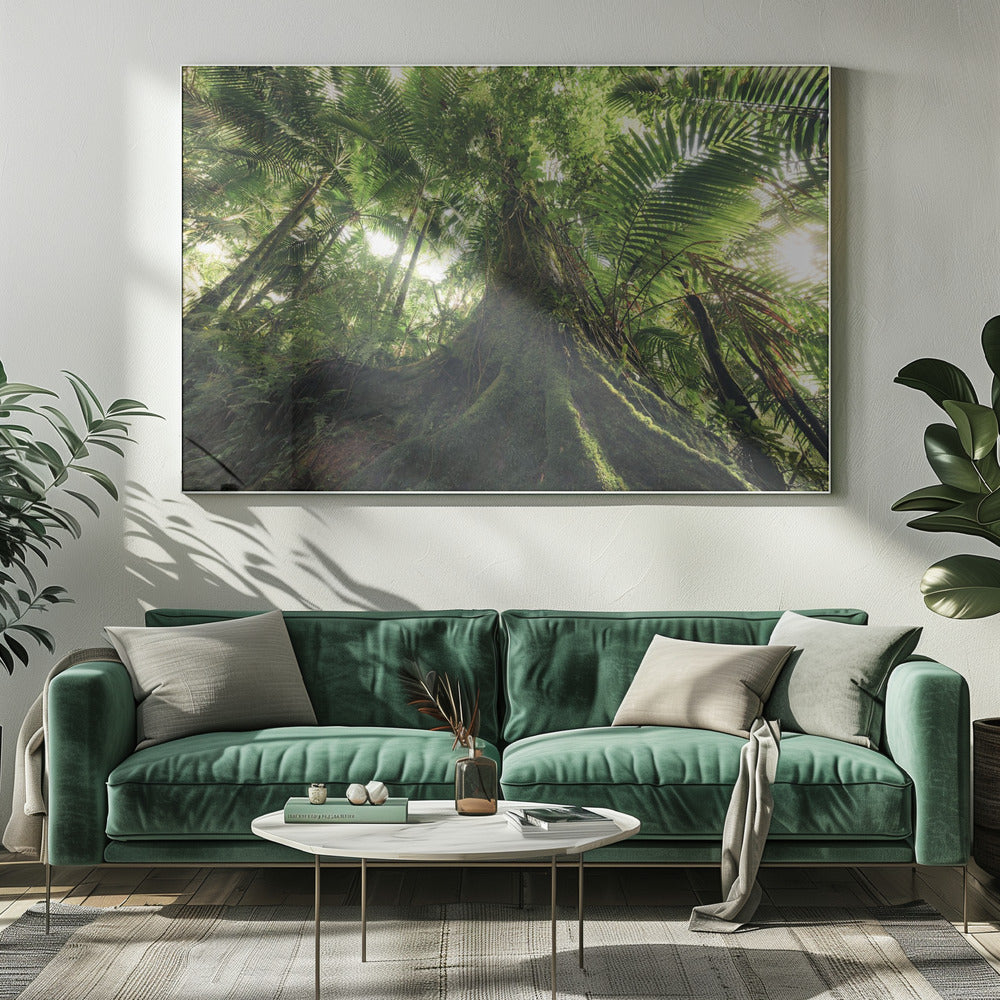 Spaziergang im Dschungel | Leinwand