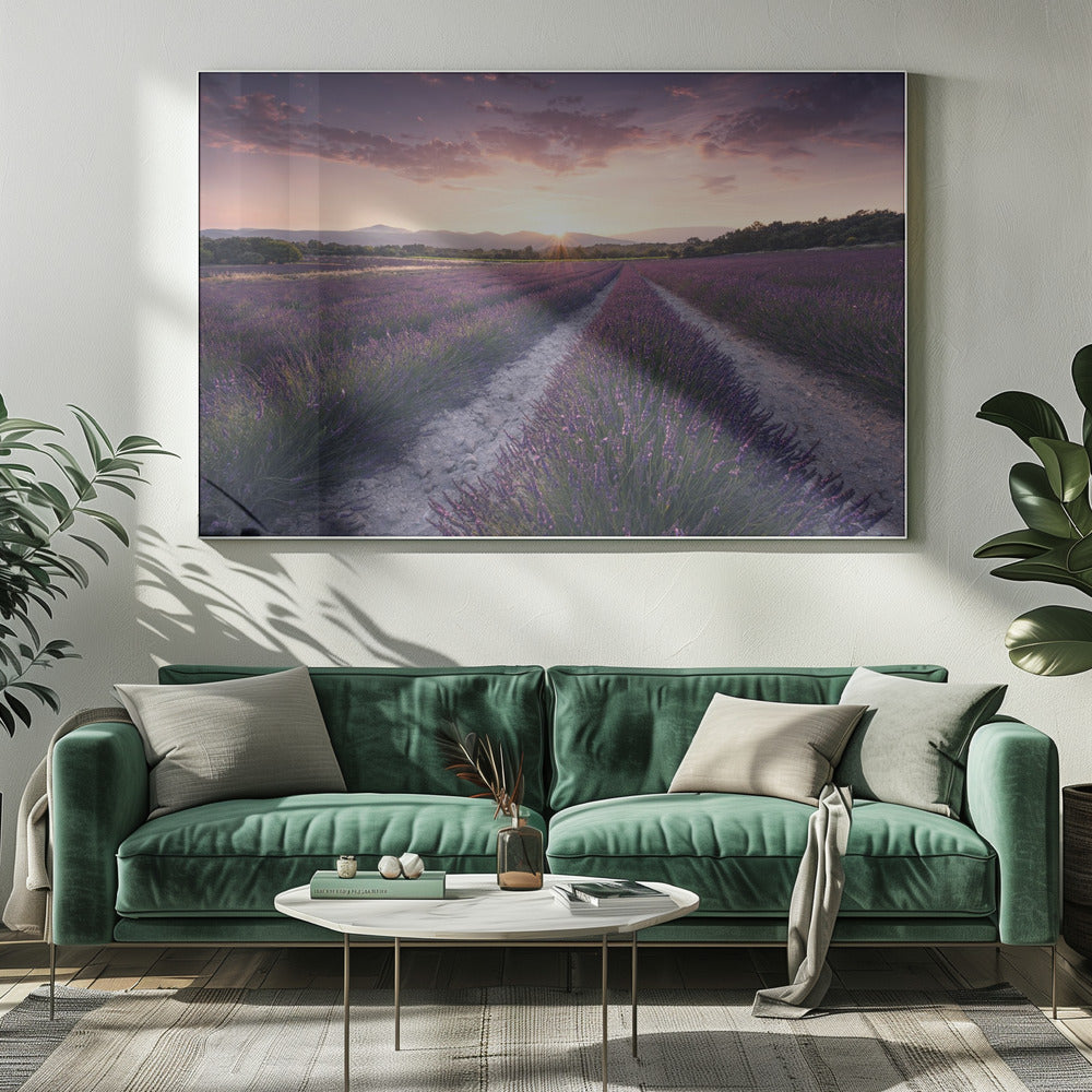 Lila Provence | Leinwand