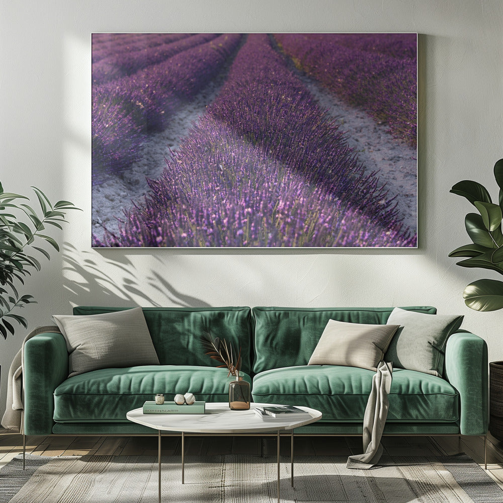 Lavendeldetail | Leinwand