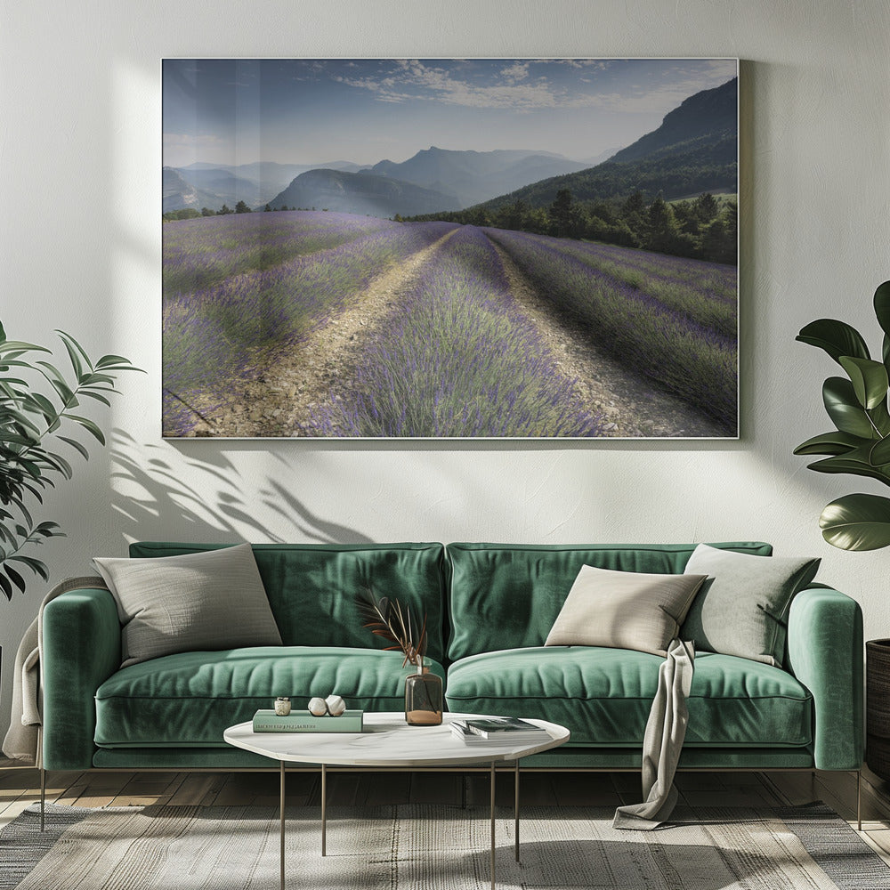 Lavendelhügel | Leinwand