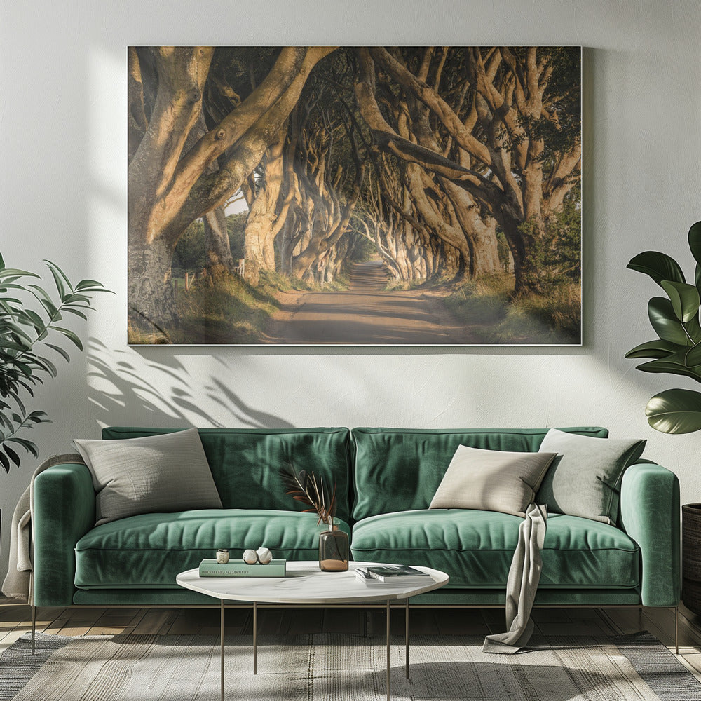 The Avenue | Canvas