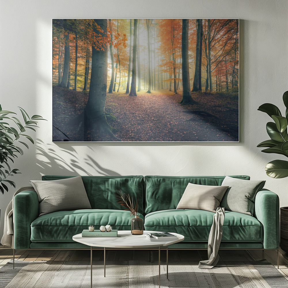 Herbst im Wald | Leinwand