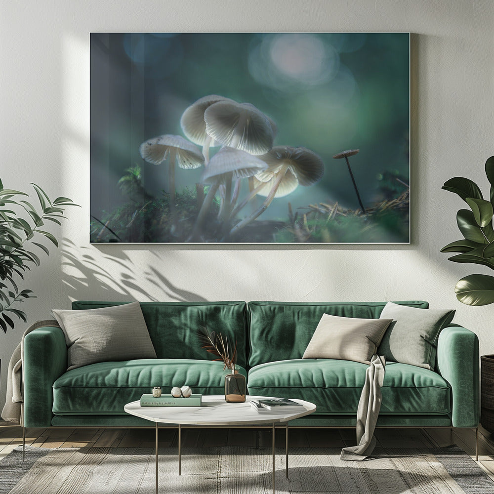 Waldträume | Leinwand