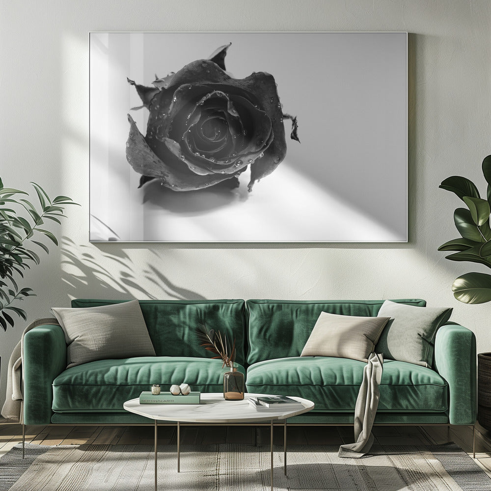 Rose Noir | Leinwand
