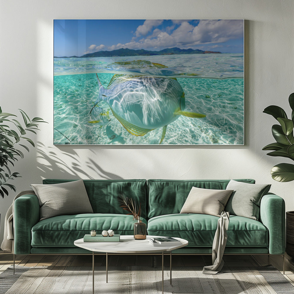 Swimming pool | Canvas