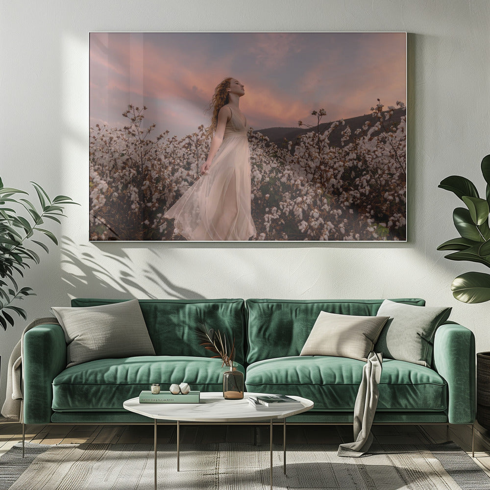 Sunset in the cotton field | Canvas