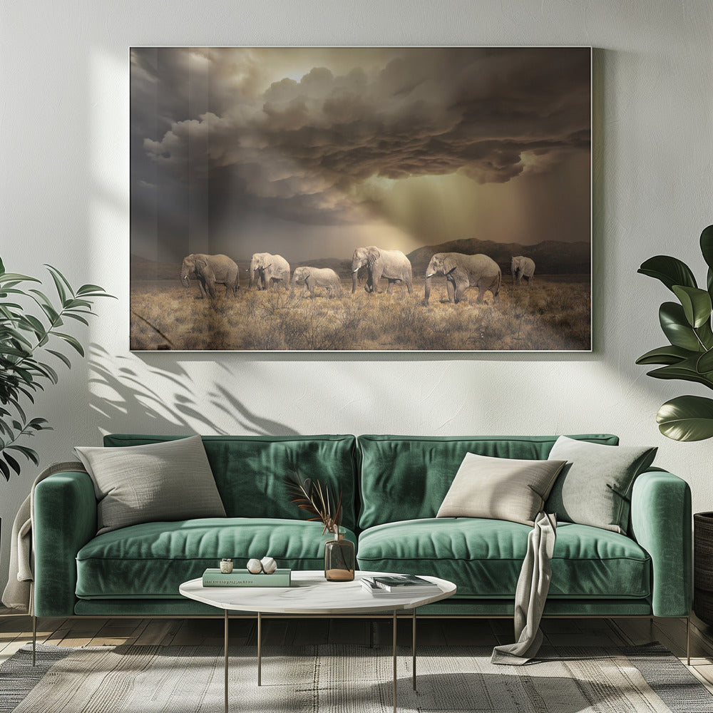 FreeElephants | Leinwand