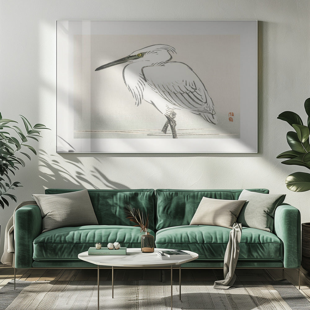 Snowy Egret | Canvas