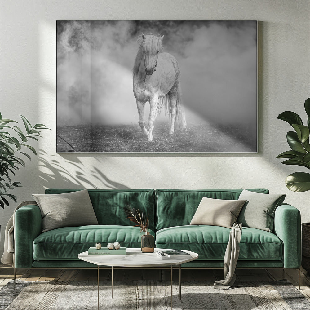 Und da kam ein weißes Pferd | Leinwand