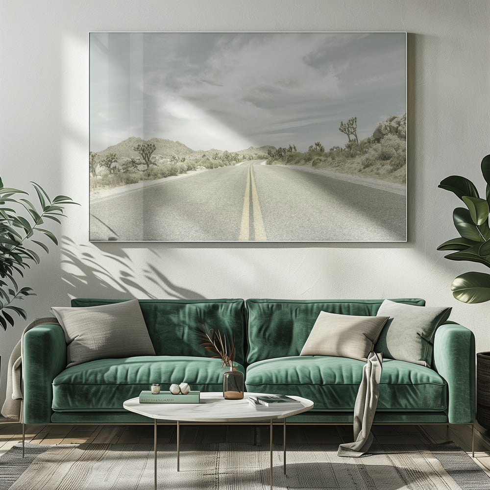 Vintage Joshua Trees, Park Boulevard | Leinwand