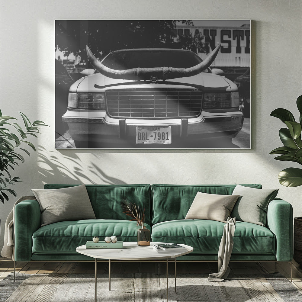 Texas-Fahrt | Leinwand