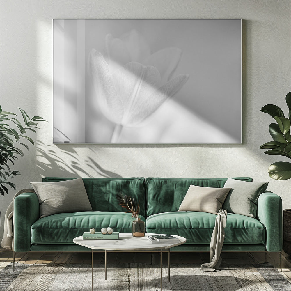 Soft | Canvas