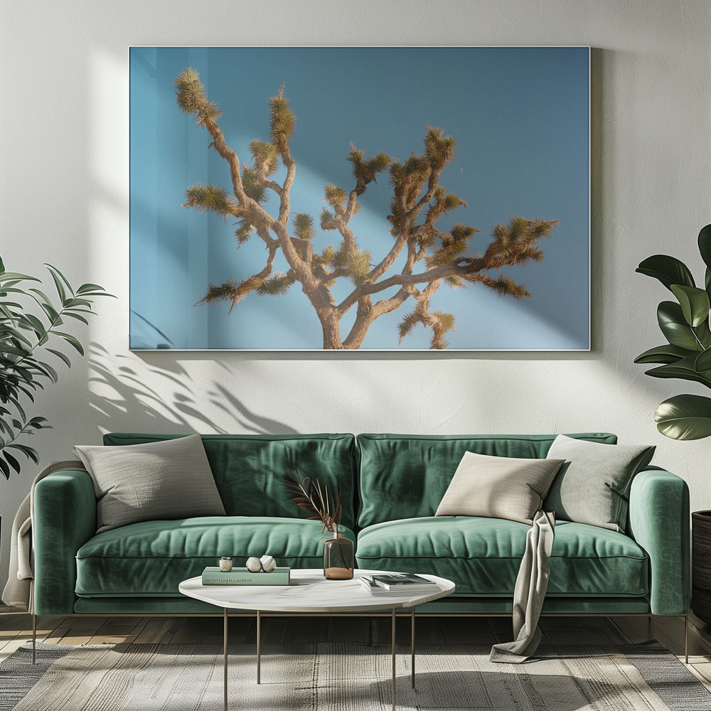 Joshua Tree Mond III | Leinwand