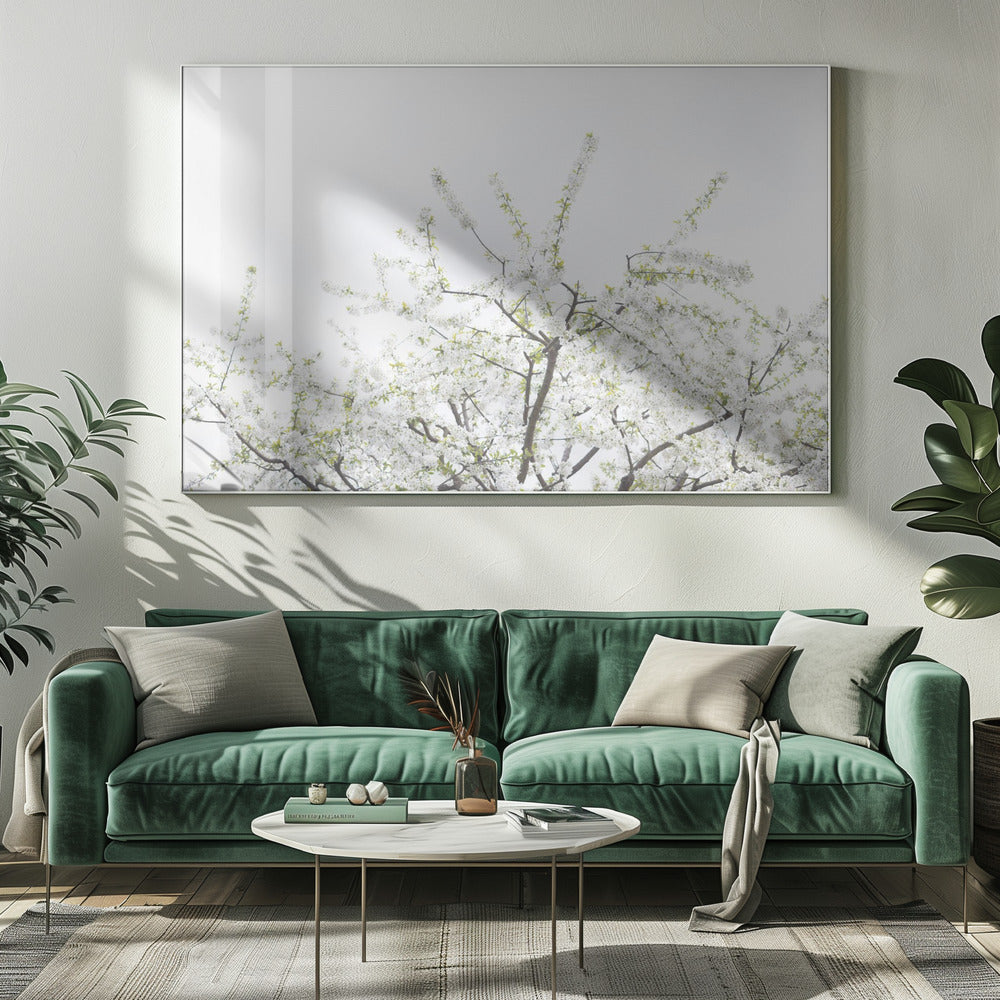 White Spring Tree 2 | Canvas