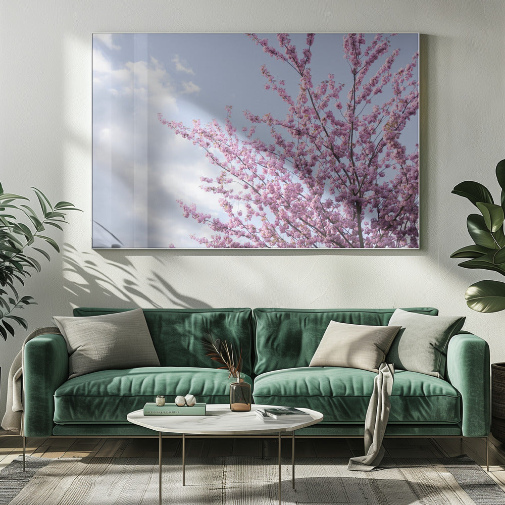 Colorful Spring 12 | Canvas
