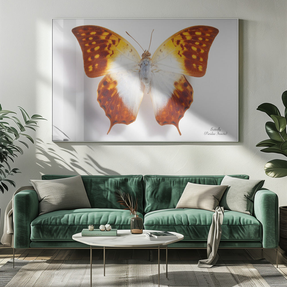Schmetterling - 4 | Leinwand