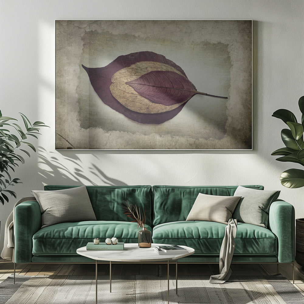 The Story of Nature | Canvas