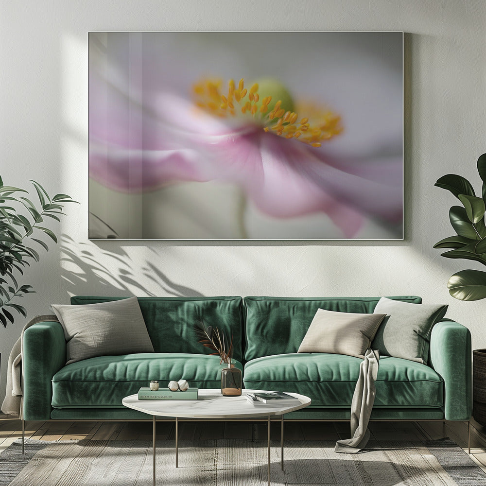Dreaminess | Canvas